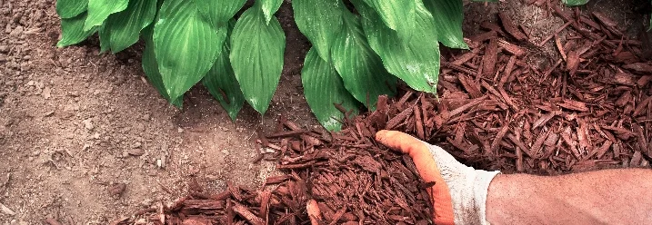 Hände verteilen Rindenmulch im Garten